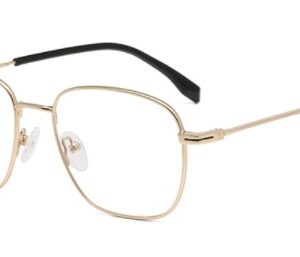 IVS H 8652   53-18-145  HL 1021